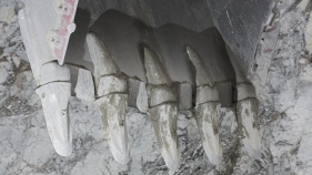 2006_MA250E_Starmet_Germany image