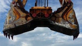 Cazo de bivalva con StarMet 500 en Singapur  image