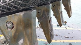 Cazo de bivalva con StarMet 500 en Singapur  image